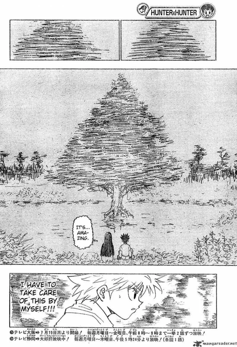 Hunter X Hunter Chapter 218 page 13