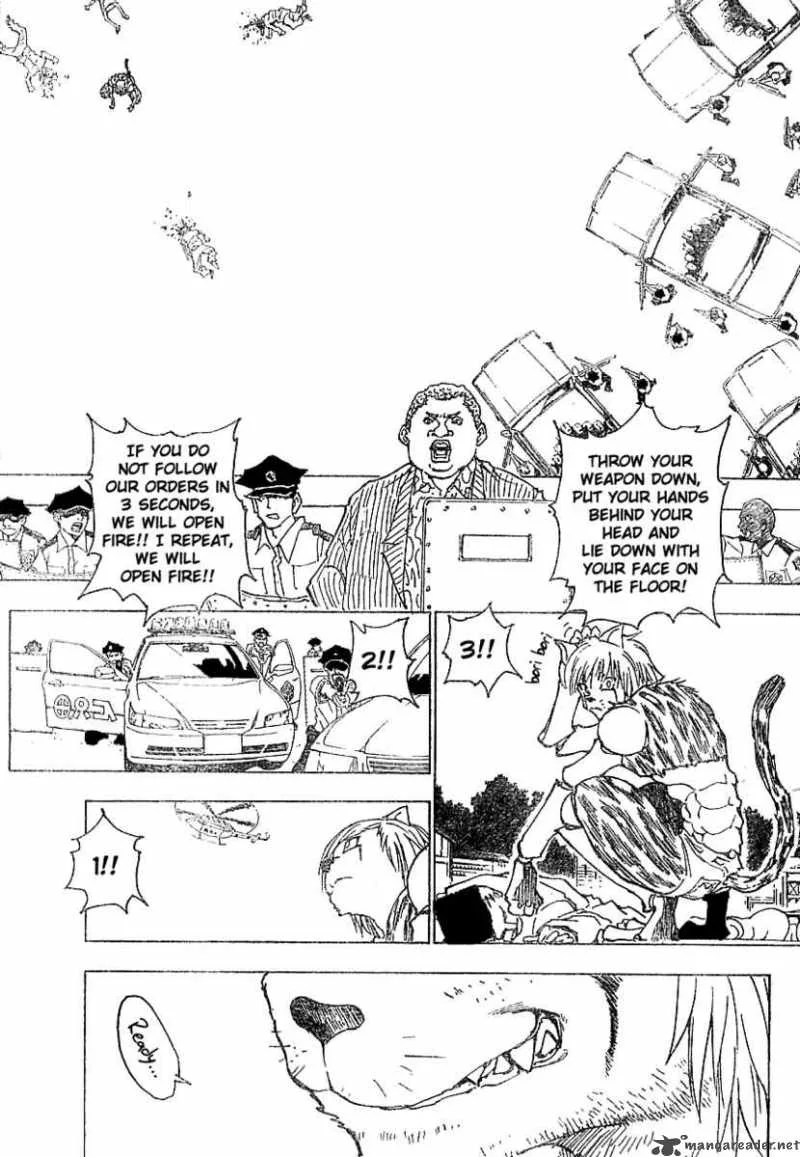 Hunter X Hunter Chapter 218 page 4