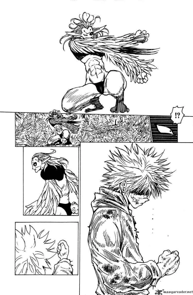 Hunter X Hunter Chapter 219 page 10