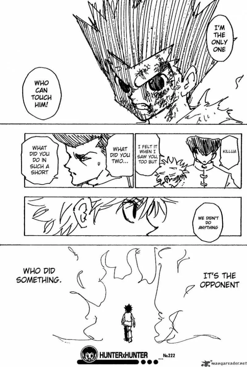 Hunter X Hunter Chapter 222 page 15