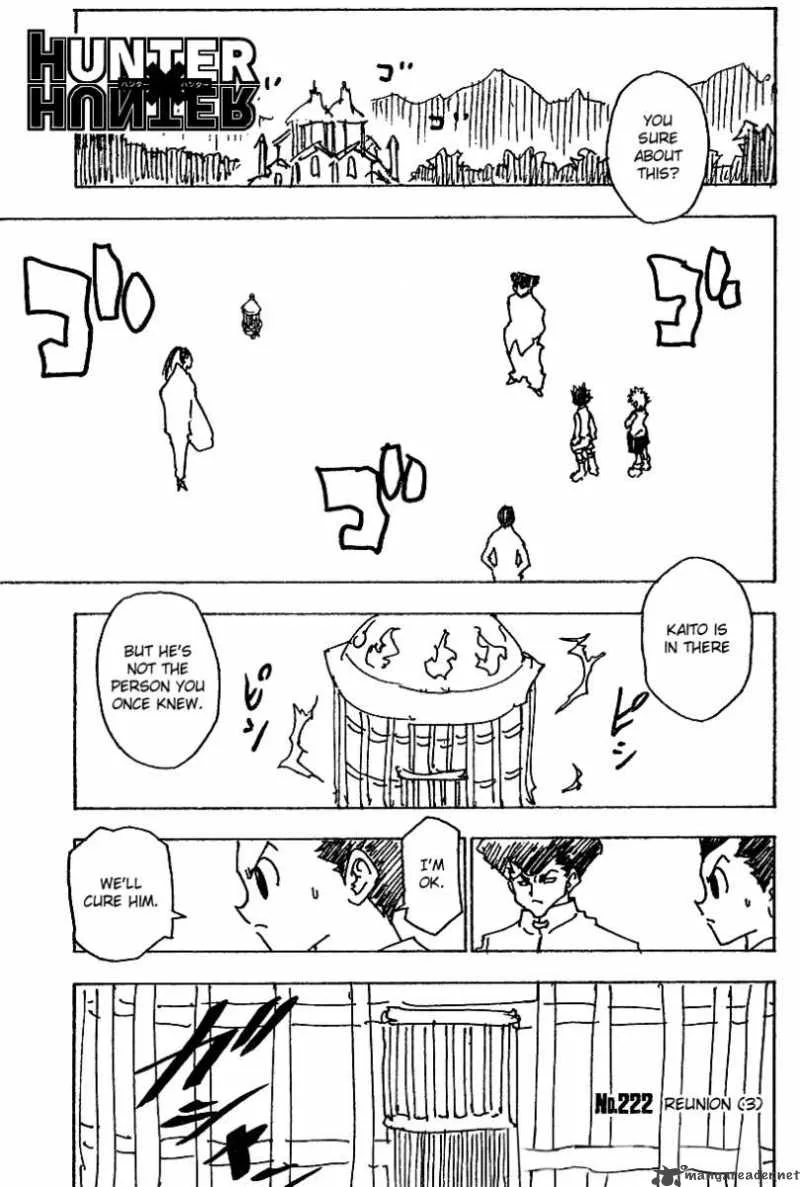 Hunter X Hunter Chapter 222 page 1