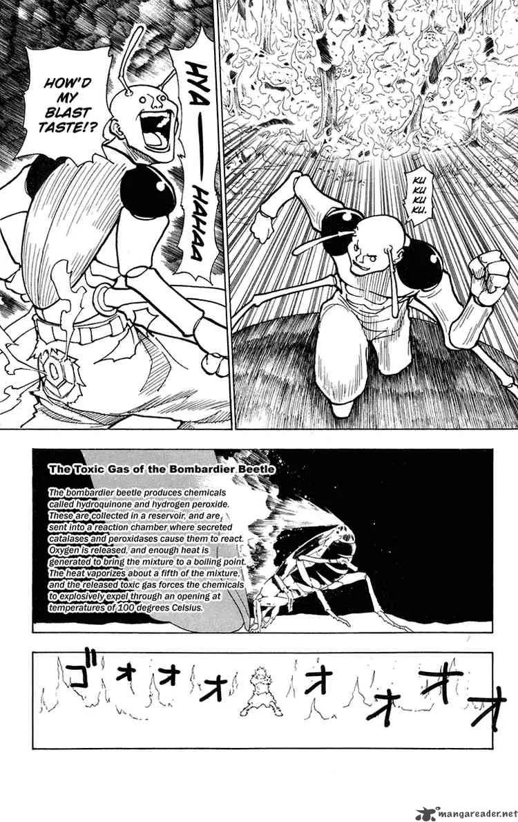Hunter X Hunter Chapter 236 page 11