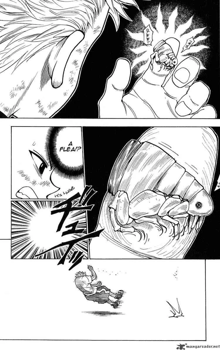 Hunter X Hunter Chapter 236 page 14