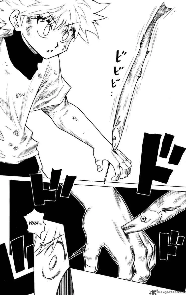 Hunter X Hunter Chapter 239 page 2