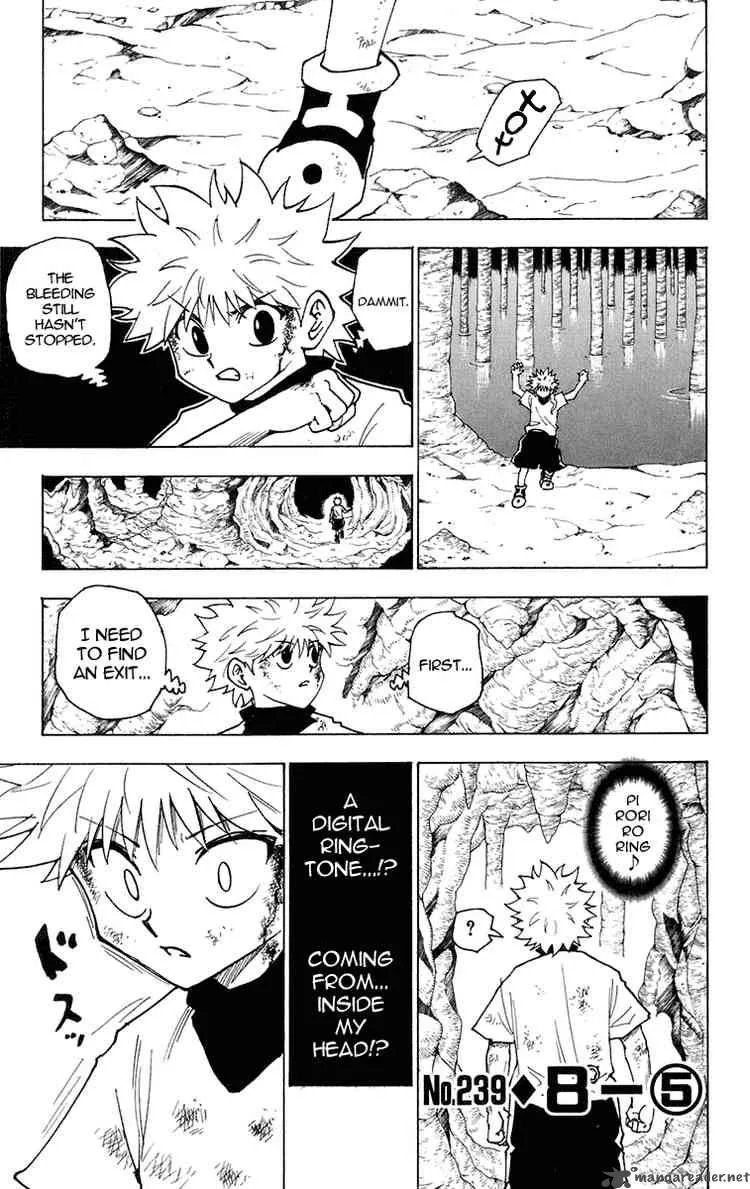 Hunter X Hunter Chapter 239 page 1