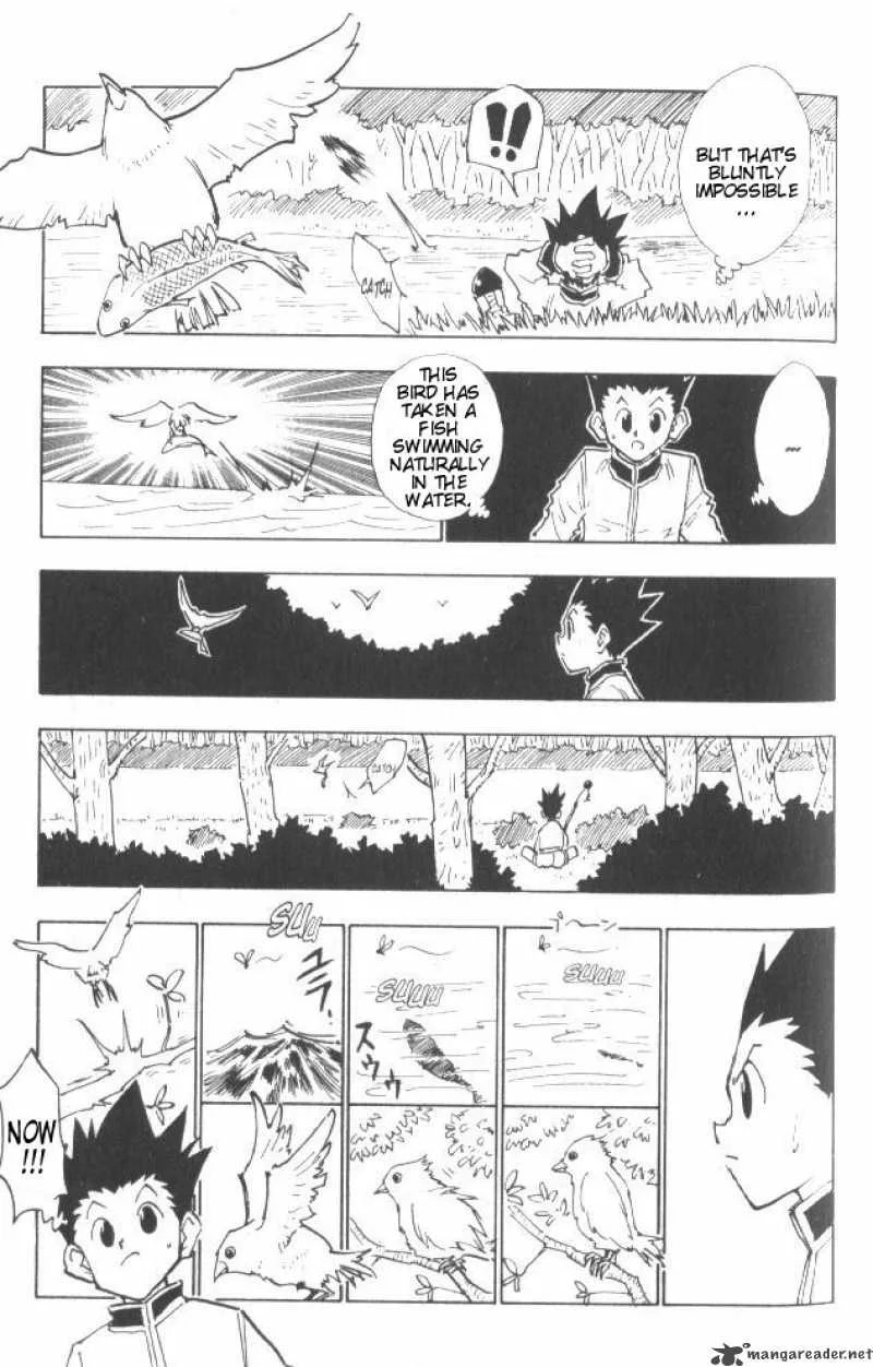 Hunter X Hunter Chapter 24 page 18