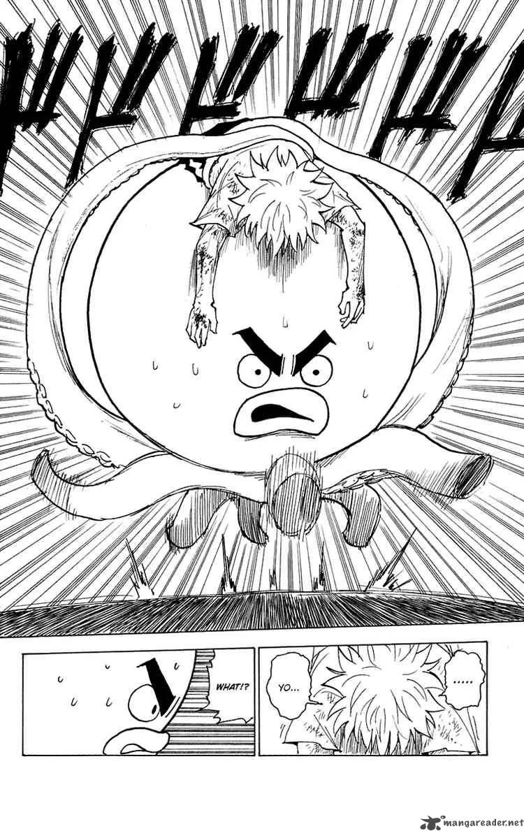 Hunter X Hunter Chapter 241 page 8