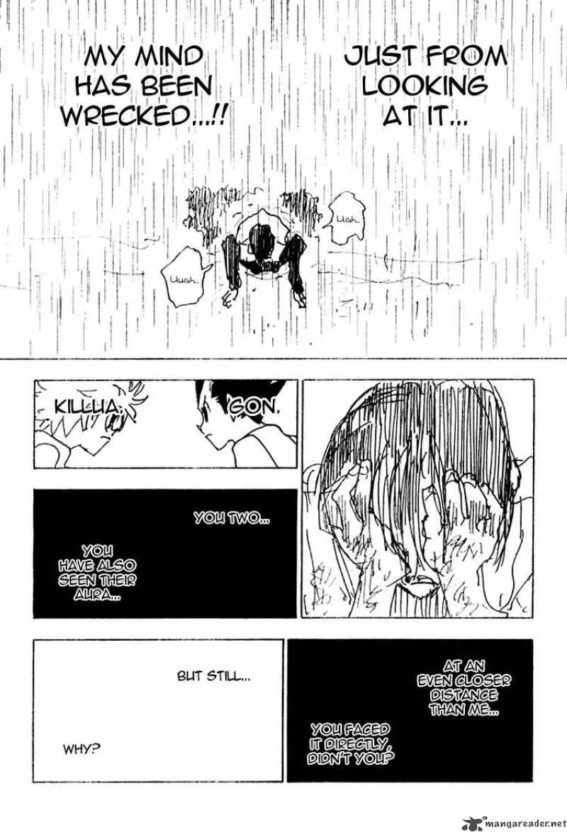Hunter X Hunter Chapter 252 page 5