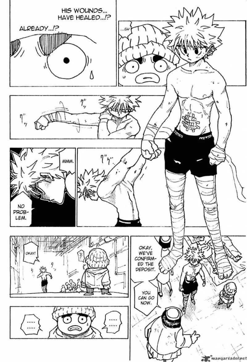 Hunter X Hunter Chapter 255 page 10