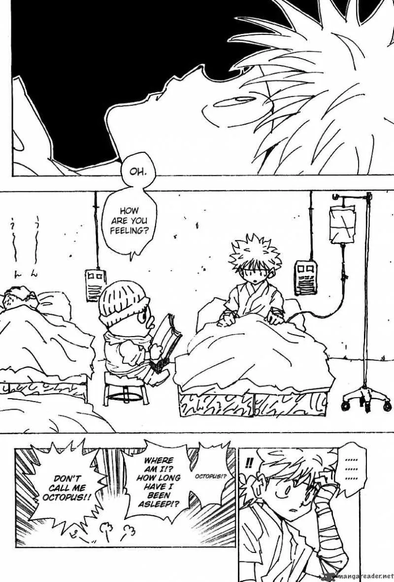 Hunter X Hunter Chapter 255 page 5