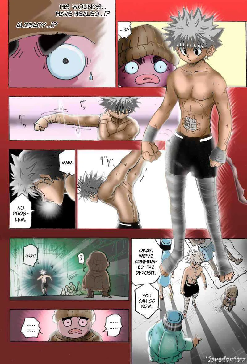 Hunter X Hunter Chapter 255 page 9