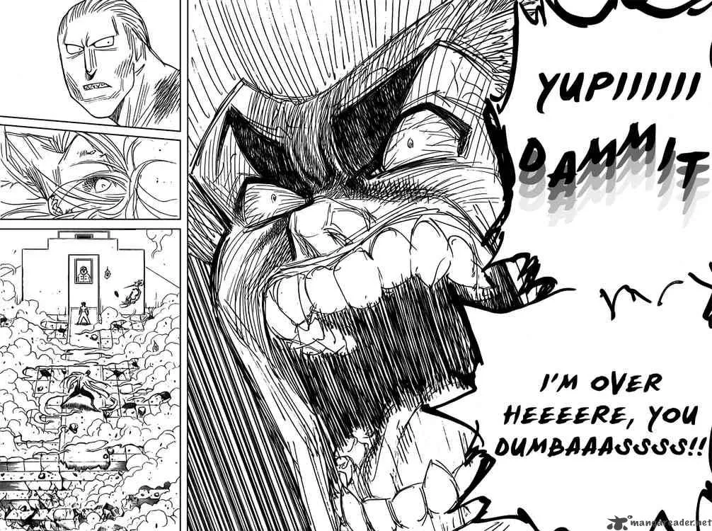 Hunter X Hunter Chapter 272 page 14