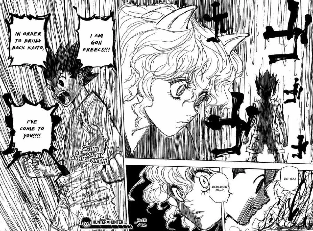 Hunter X Hunter Chapter 273 page 18