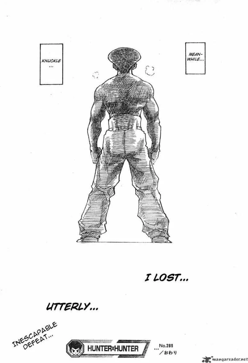 Hunter X Hunter Chapter 289 page 19