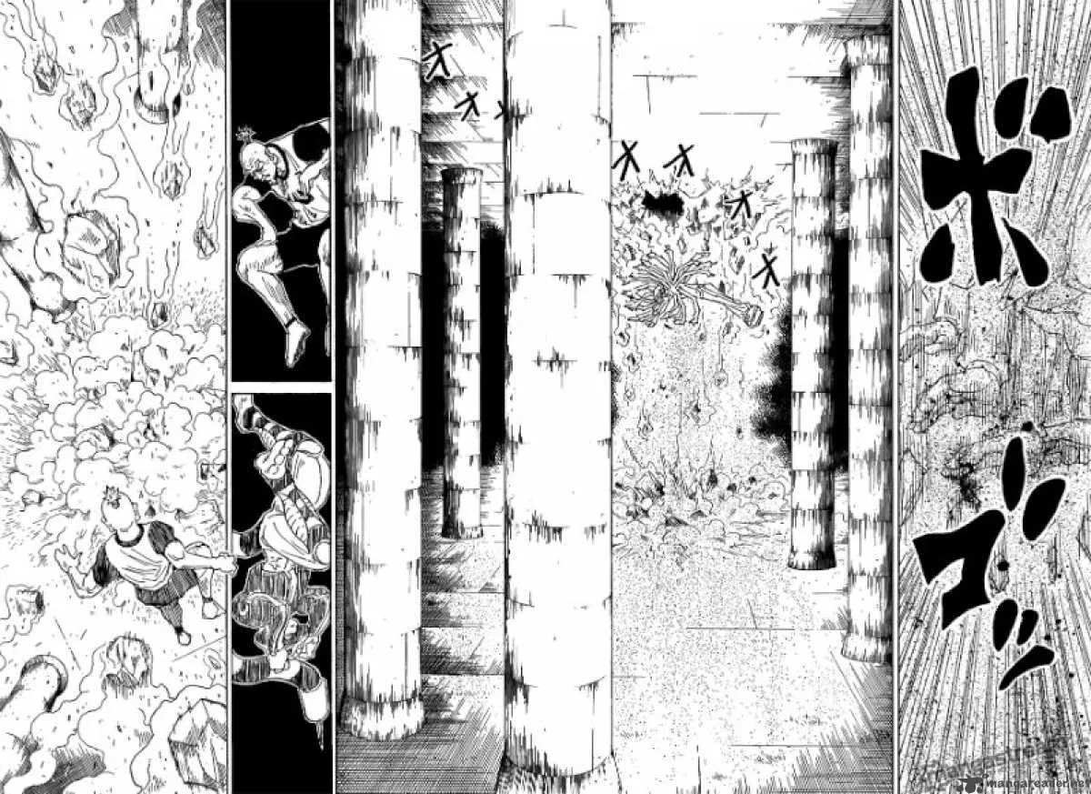 Hunter X Hunter Chapter 291 page 14