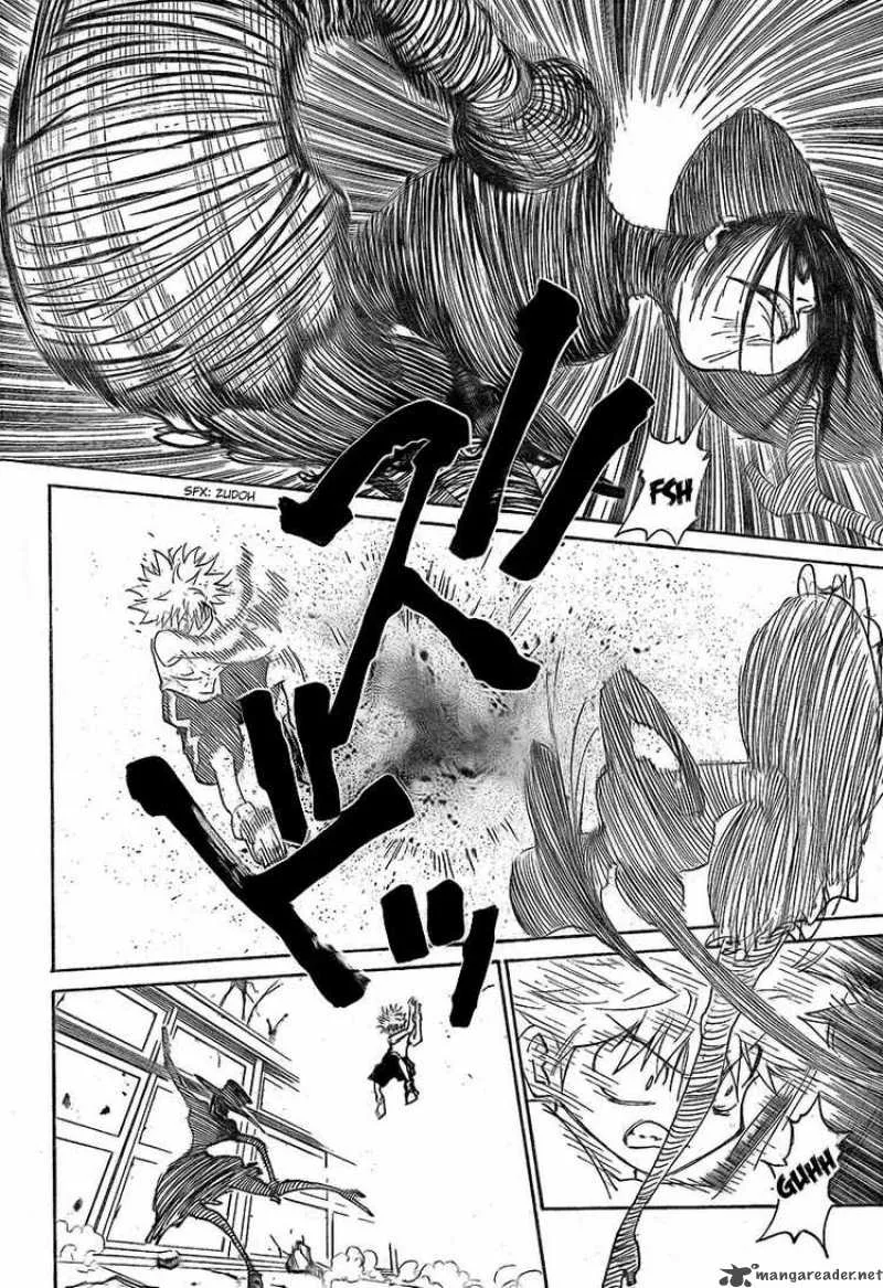 Hunter X Hunter Chapter 294 page 2