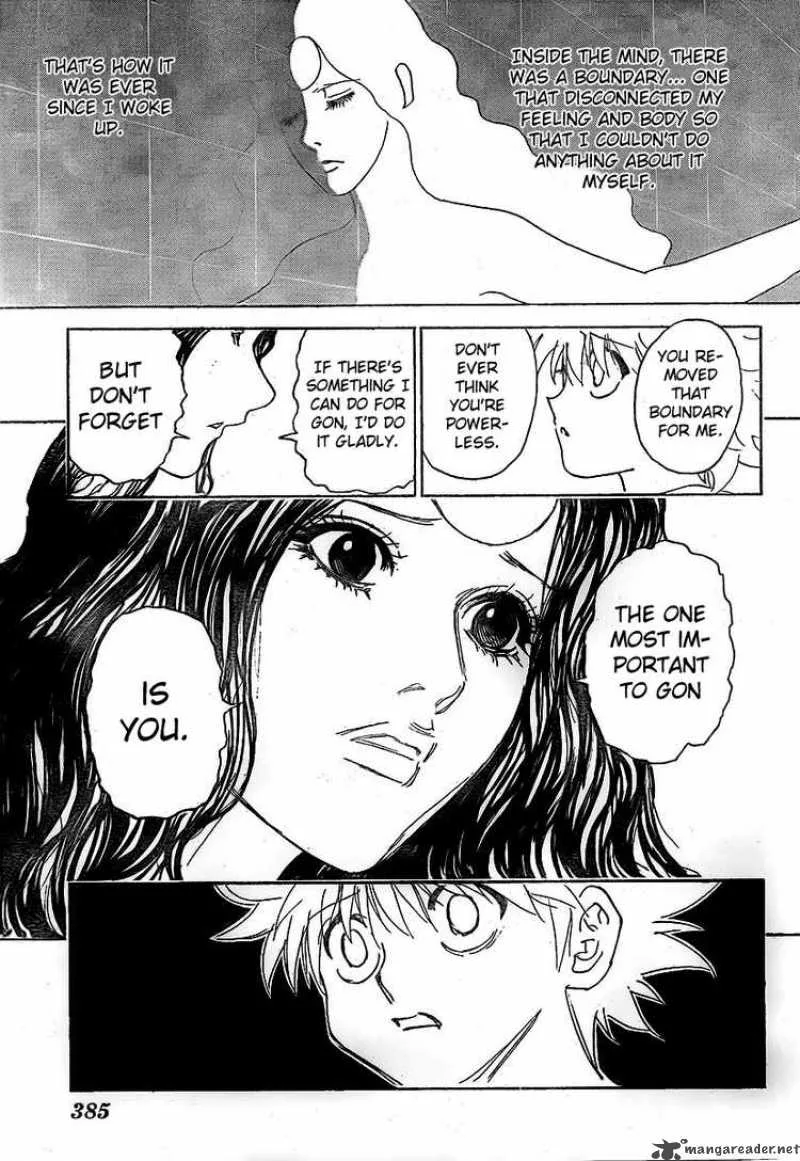 Hunter X Hunter Chapter 294 page 17