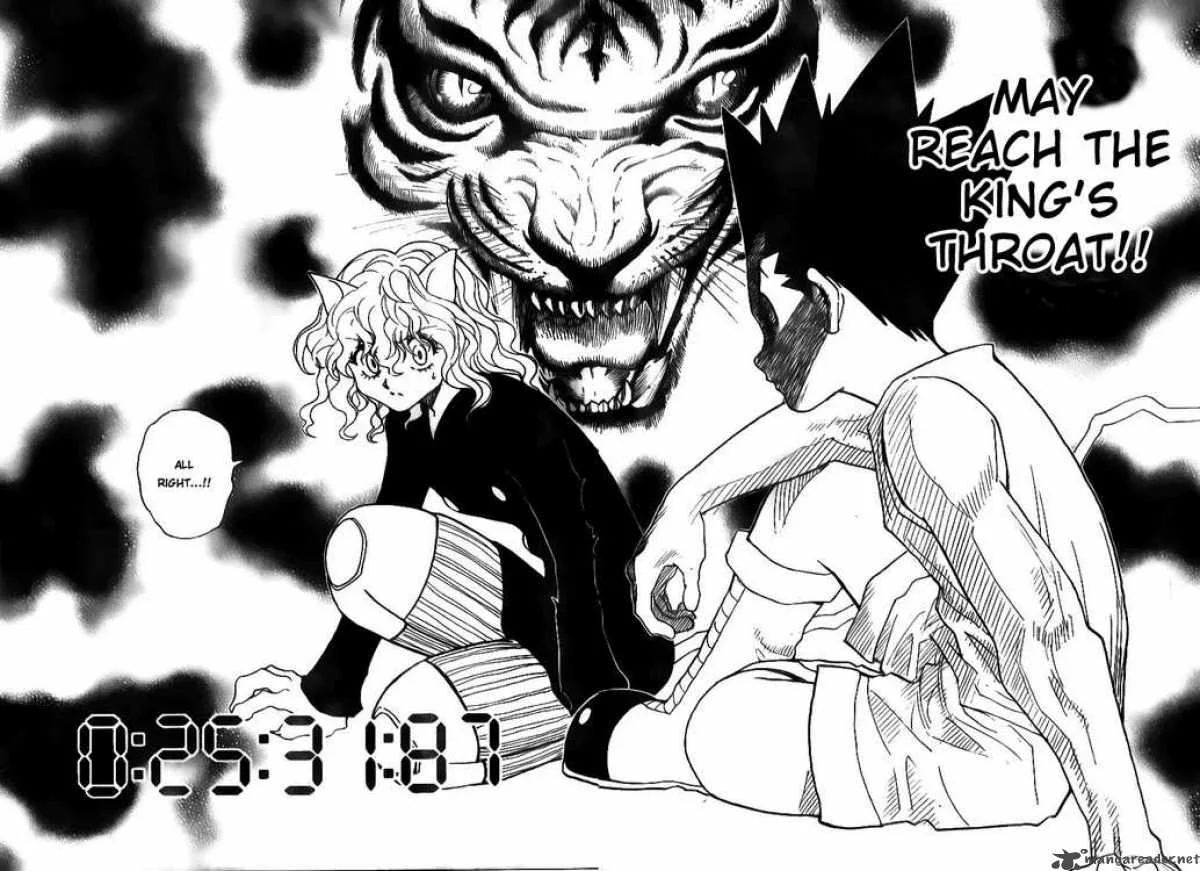 Hunter X Hunter Chapter 295 page 13