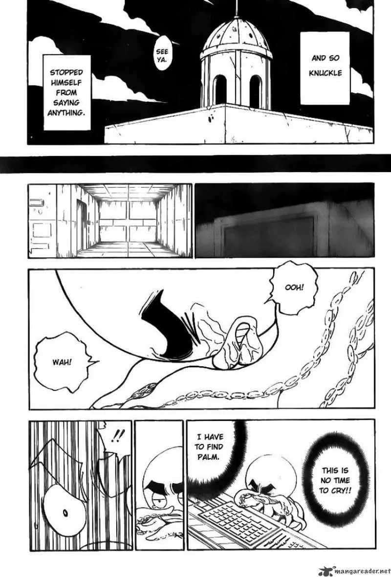 Hunter X Hunter Chapter 295 page 17