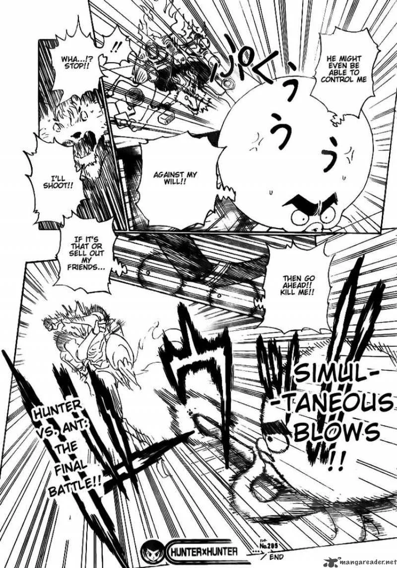 Hunter X Hunter Chapter 295 page 19