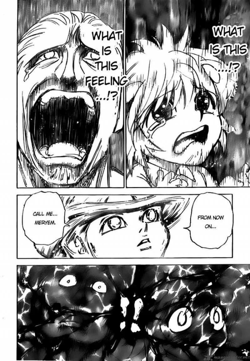 Hunter X Hunter Chapter 299 page 14