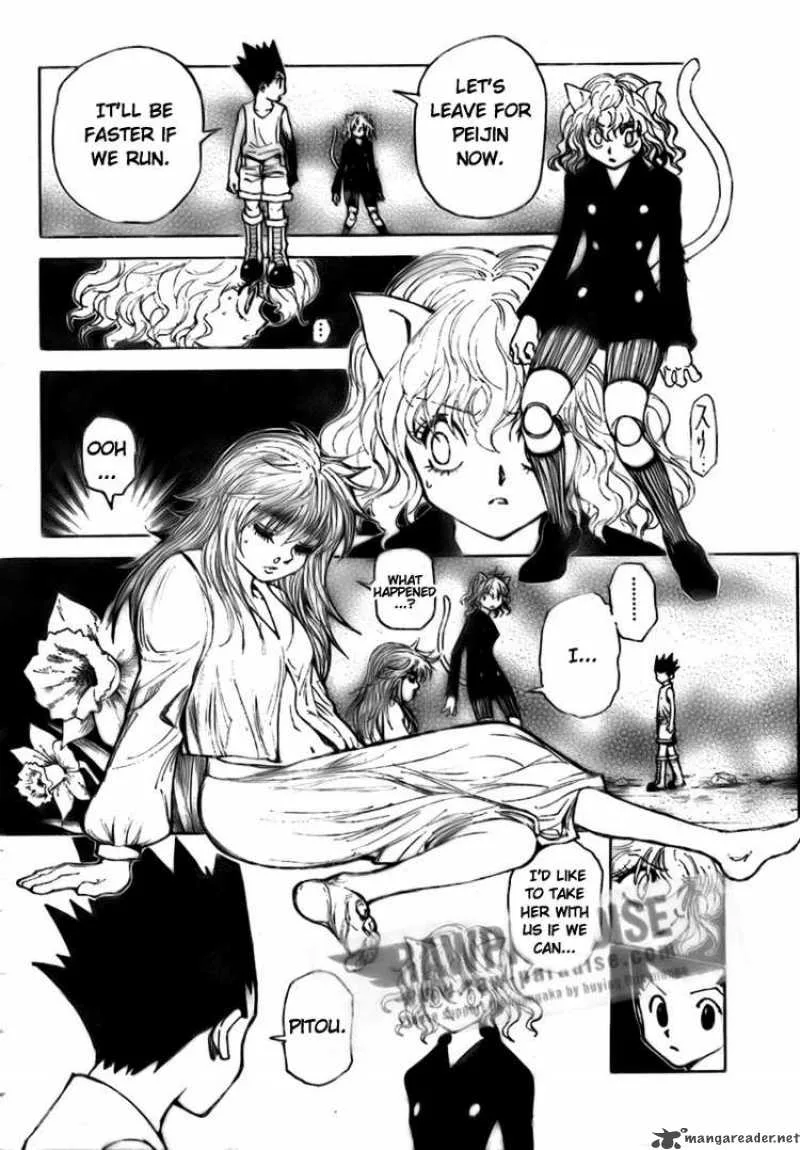 Hunter X Hunter Chapter 300 page 12