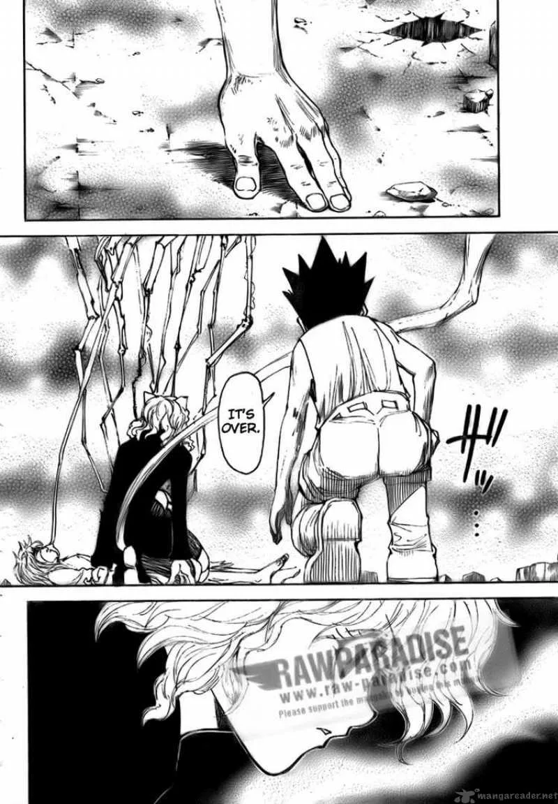 Hunter X Hunter Chapter 300 page 8