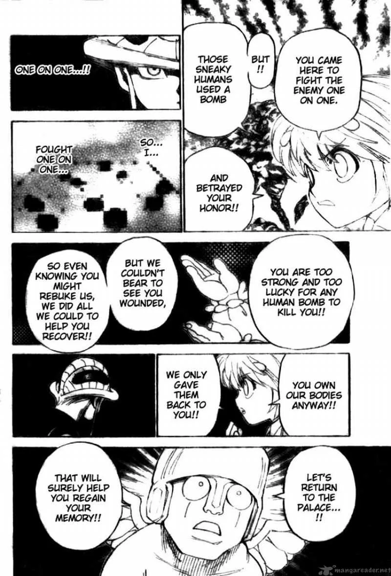 Hunter X Hunter Chapter 301 page 8
