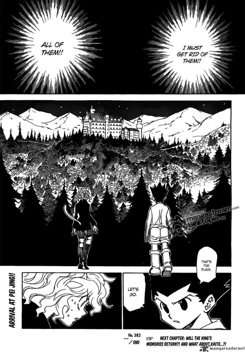 Hunter X Hunter Chapter 303 page 18