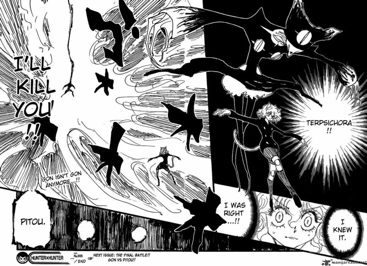Hunter X Hunter Chapter 305 page 15