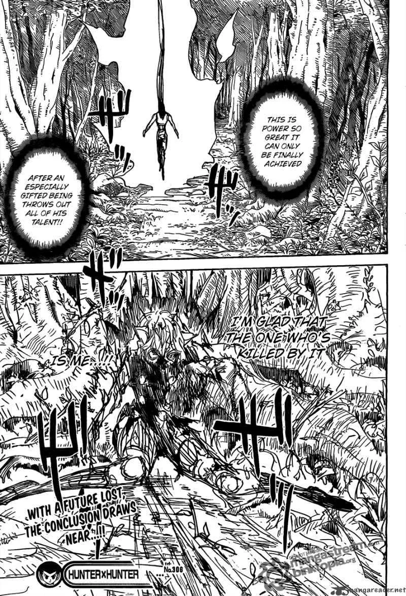 Hunter X Hunter Chapter 306 page 15