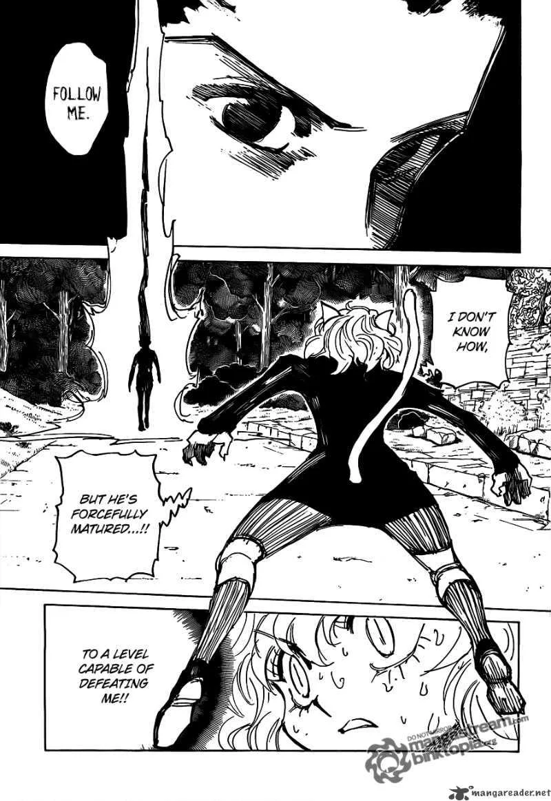 Hunter X Hunter Chapter 306 page 6