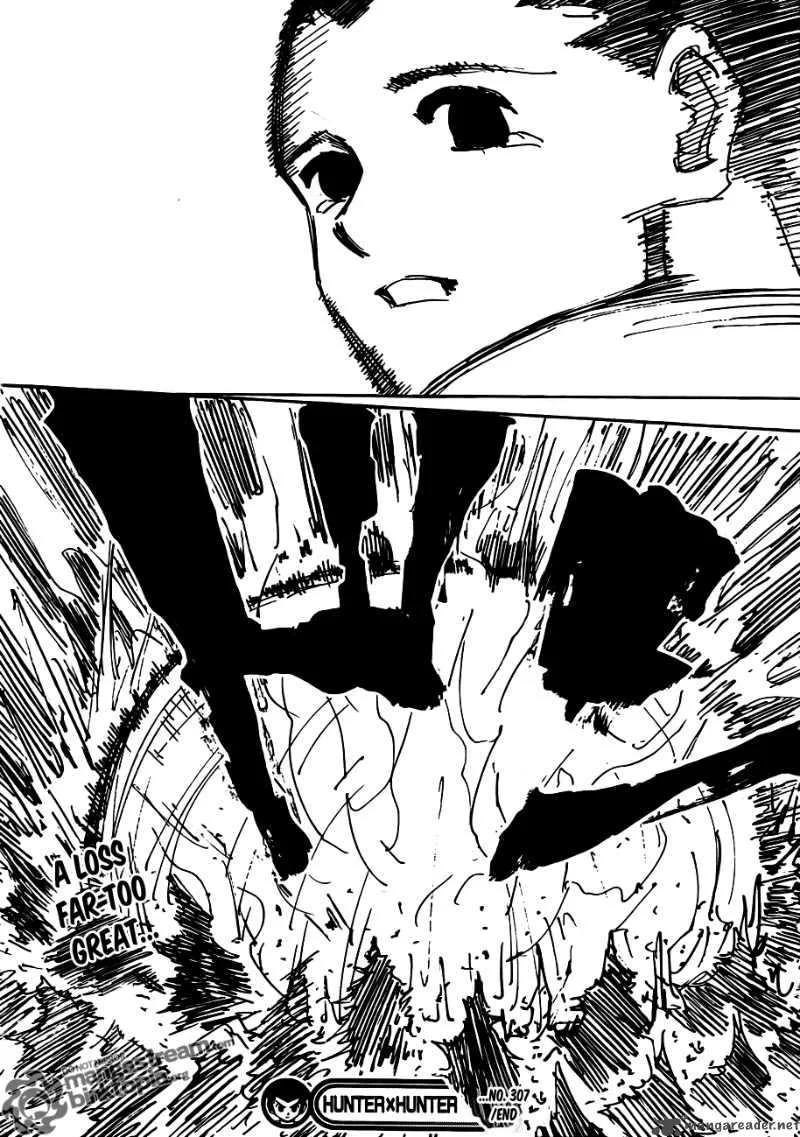 Hunter X Hunter Chapter 307 page 17