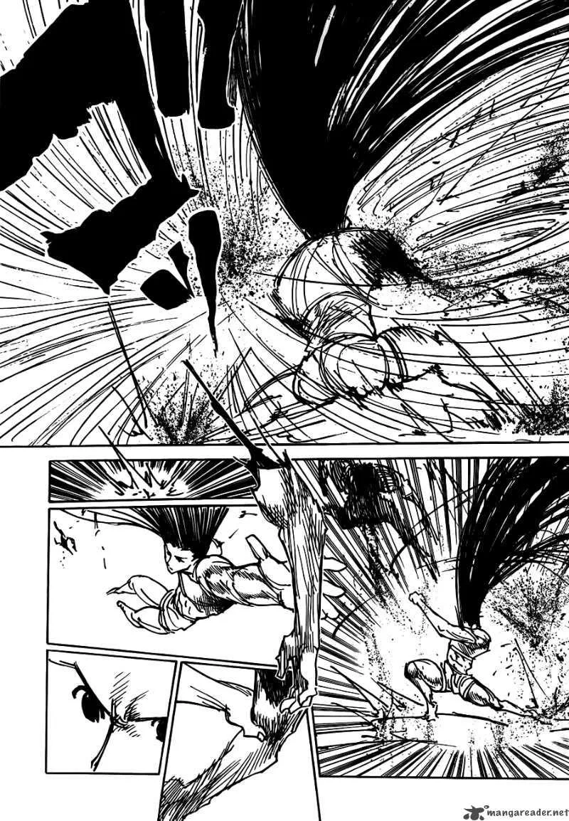 Hunter X Hunter Chapter 307 page 13