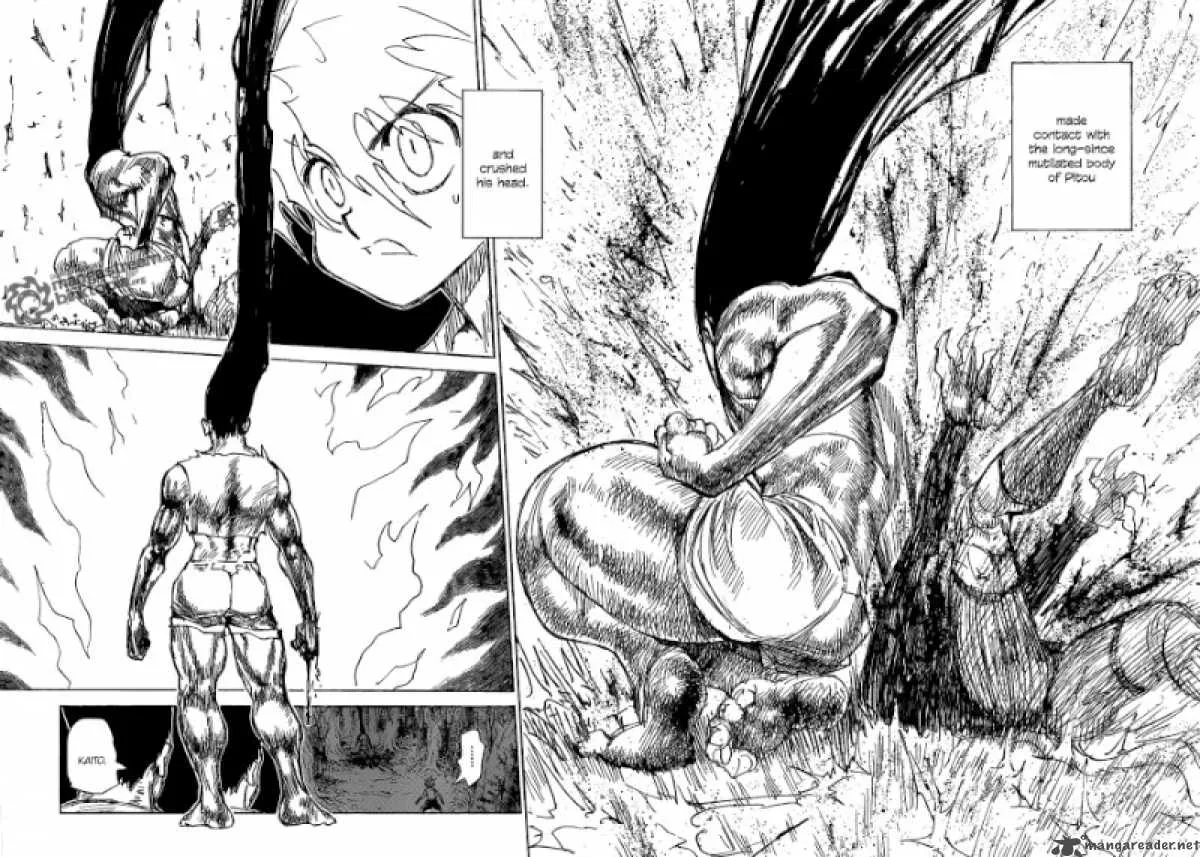 Hunter X Hunter Chapter 307 page 3