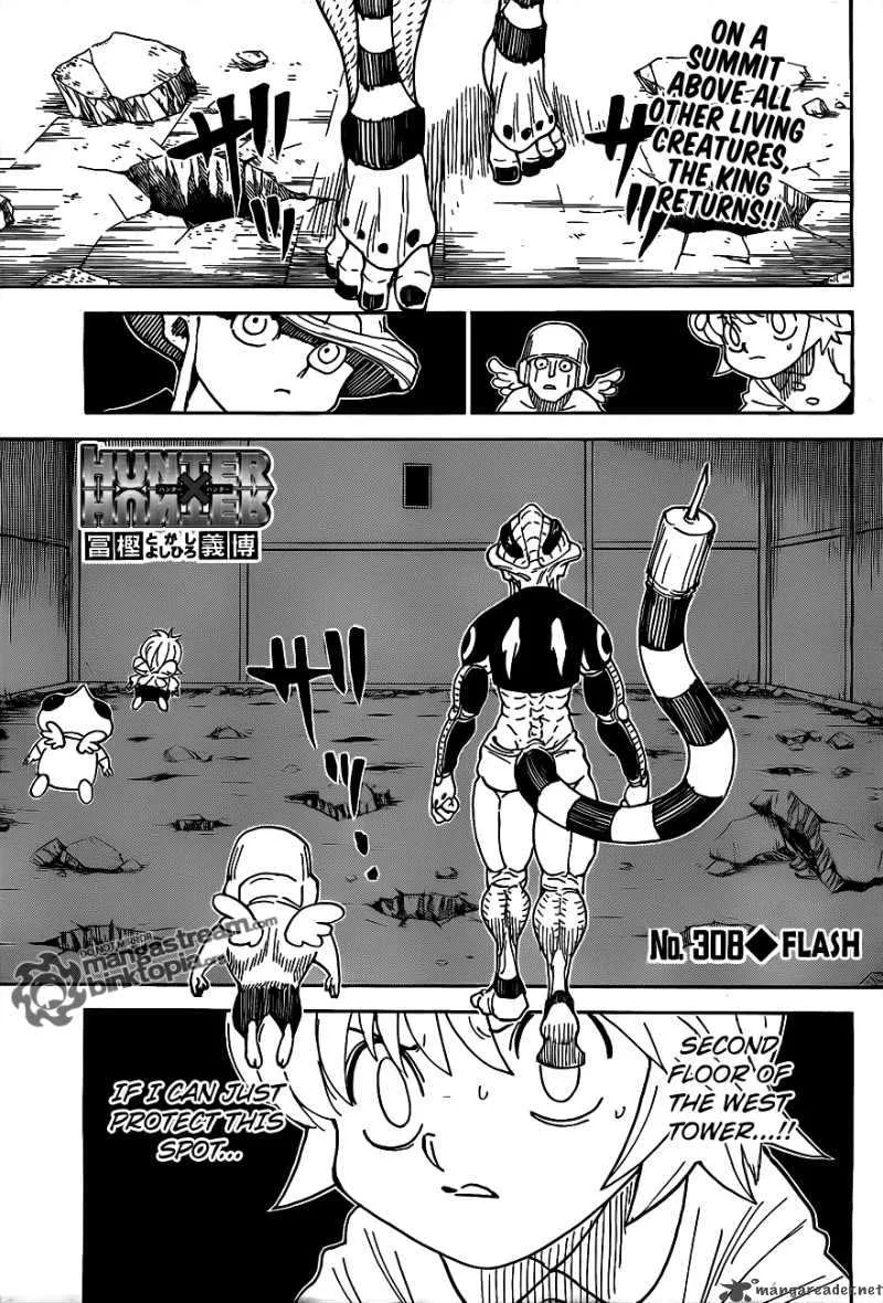 Hunter X Hunter Chapter 308 page 1