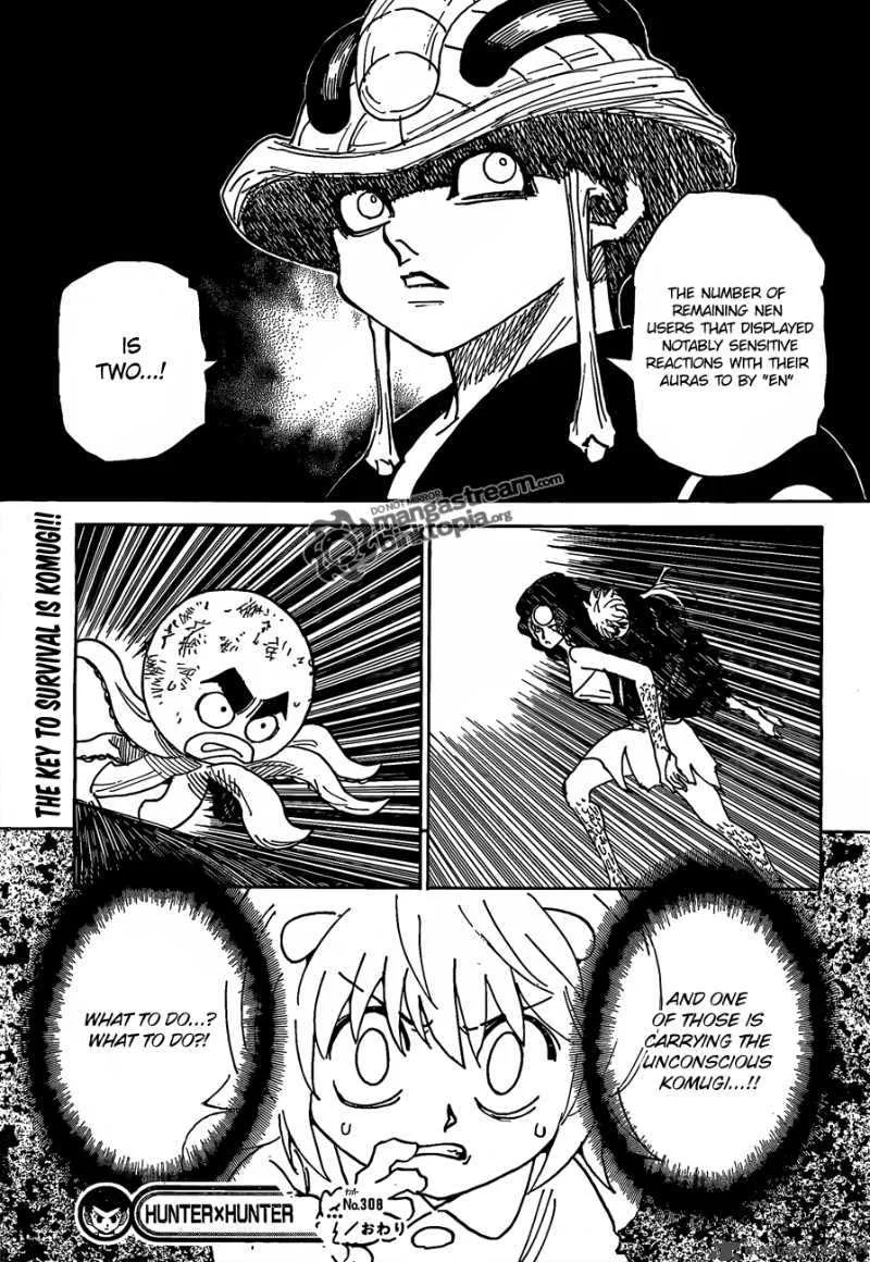 Hunter X Hunter Chapter 308 page 17
