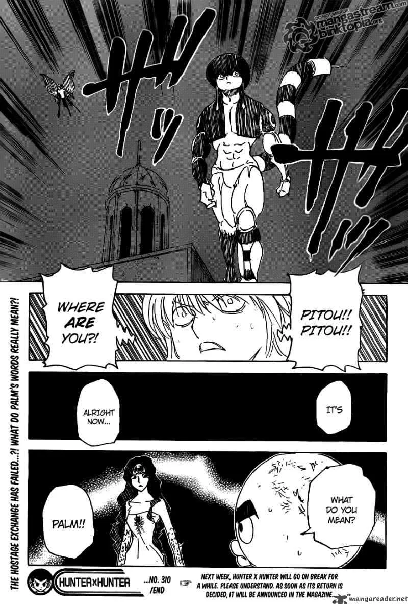 Hunter X Hunter Chapter 310 page 19