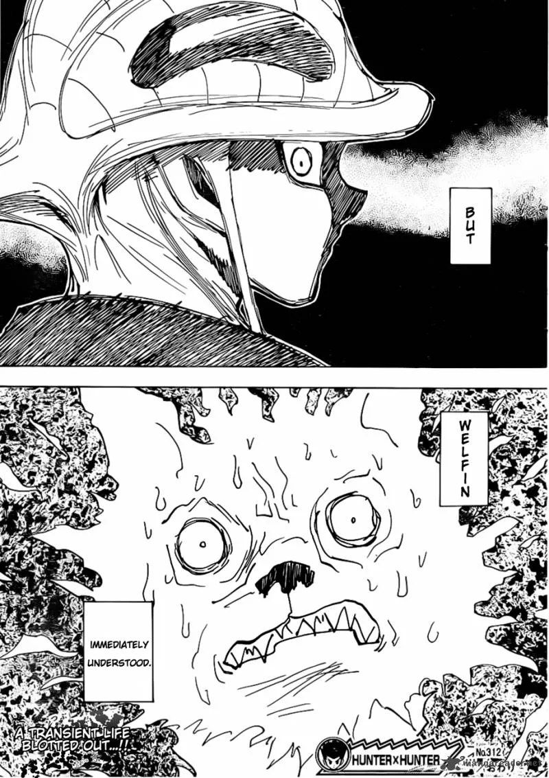 Hunter X Hunter Chapter 312 page 19