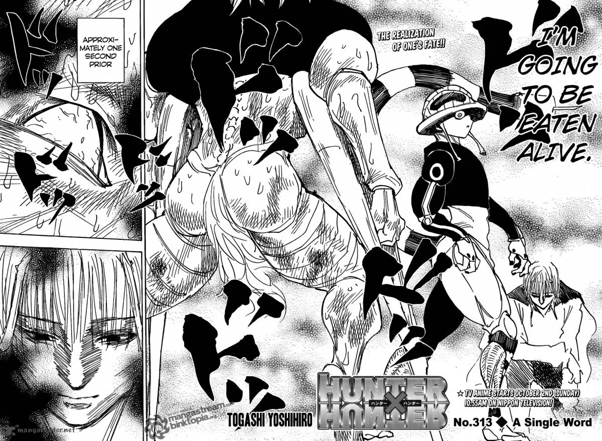 Hunter X Hunter Chapter 313 page 2