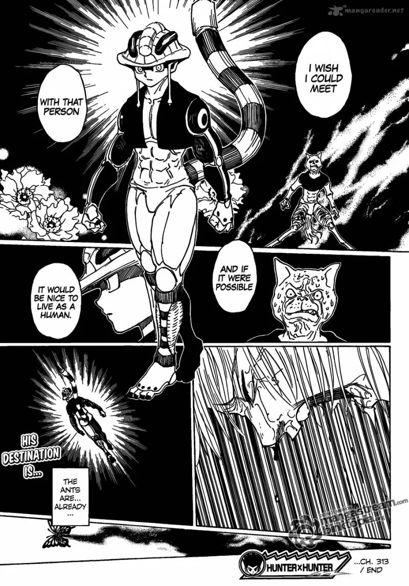 Hunter X Hunter Chapter 313 page 14