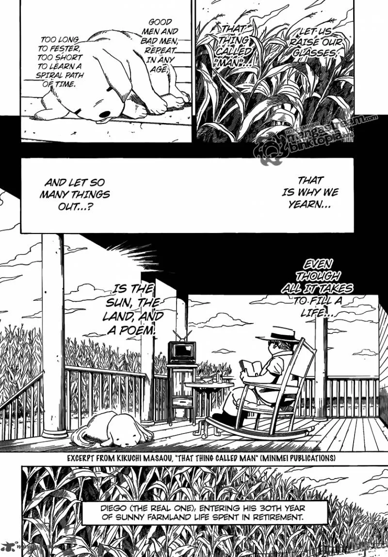 Hunter X Hunter Chapter 315 page 17