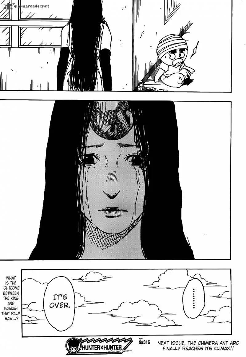 Hunter X Hunter Chapter 316 page 19