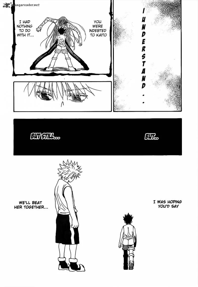 Hunter X Hunter Chapter 316 page 10