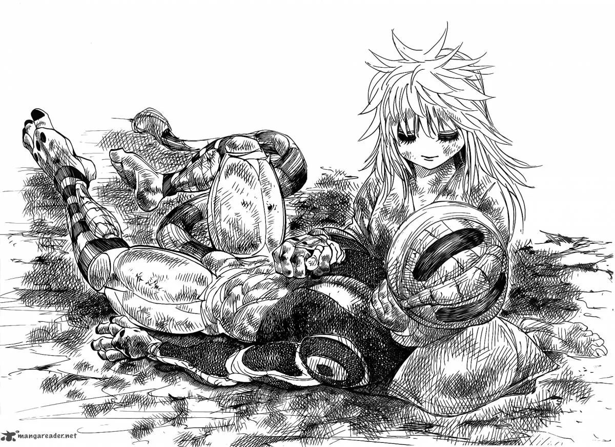 Hunter X Hunter Chapter 318 page 9