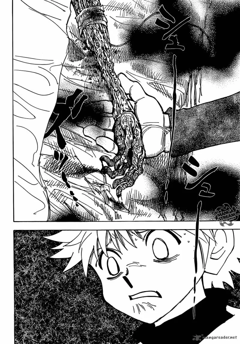Hunter X Hunter Chapter 333 page 10