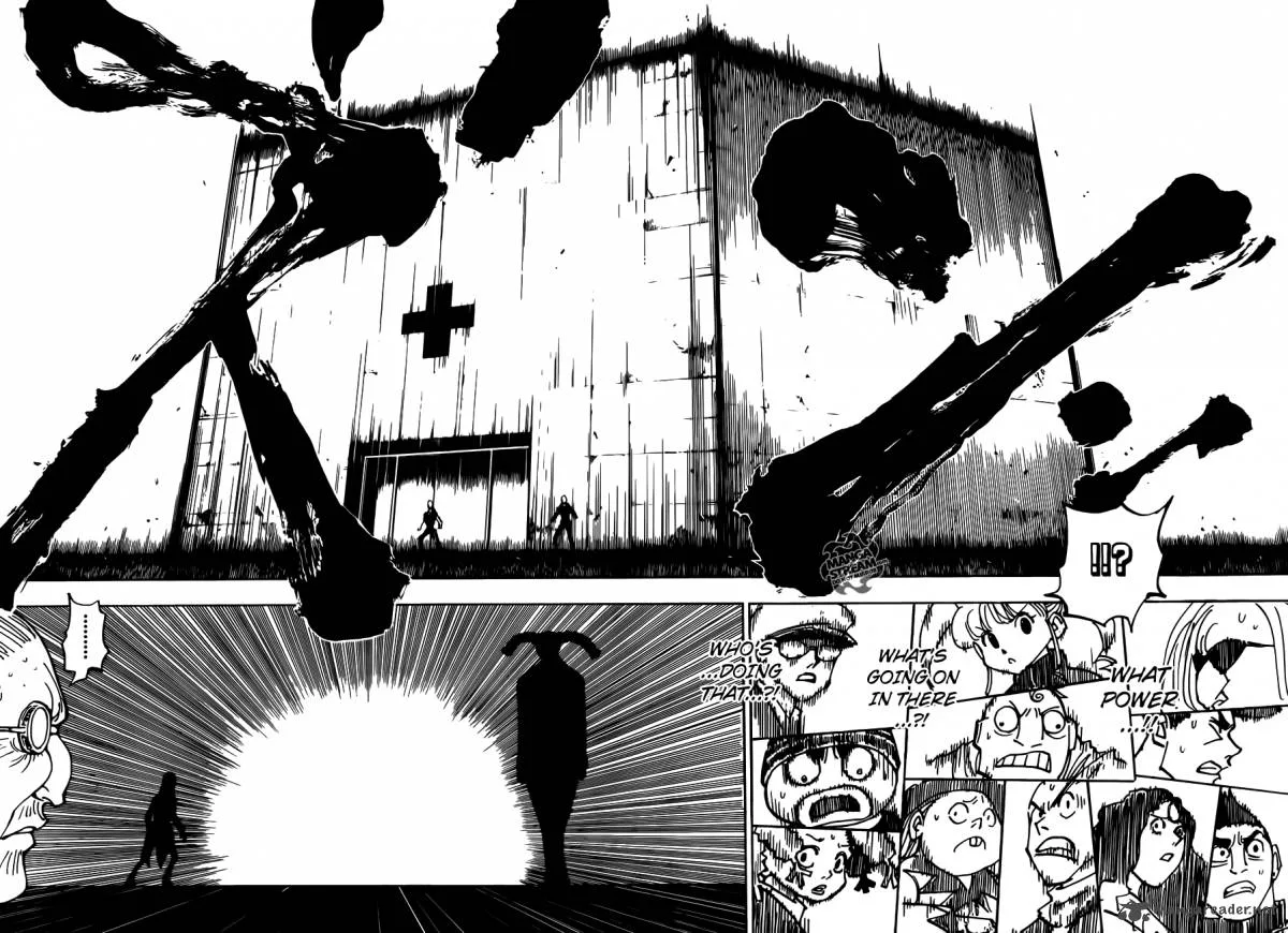 Hunter X Hunter Chapter 333 page 12