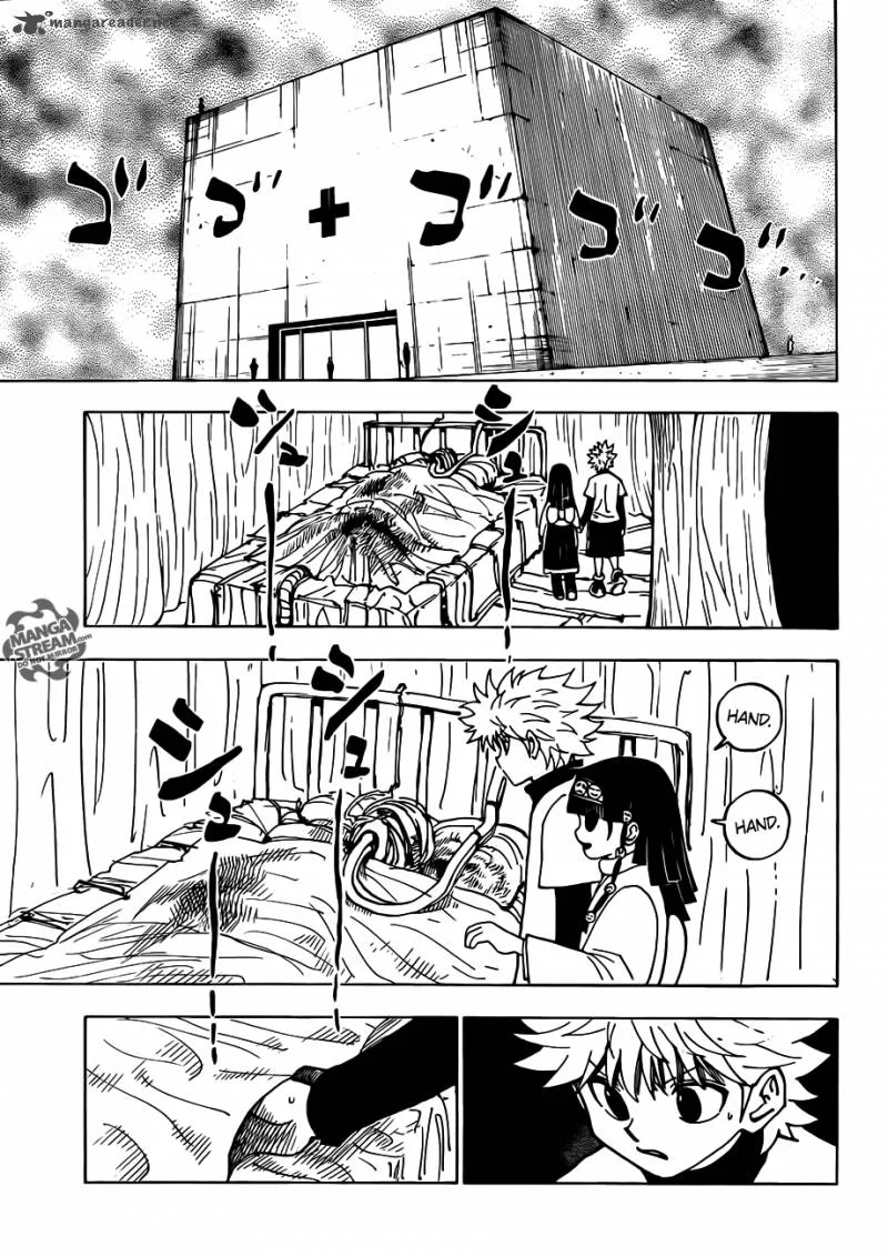 Hunter X Hunter Chapter 333 page 9