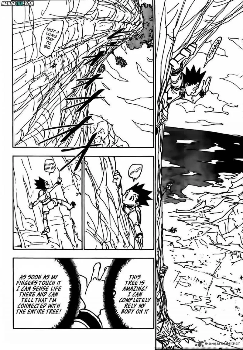 Hunter X Hunter Chapter 338 page 8