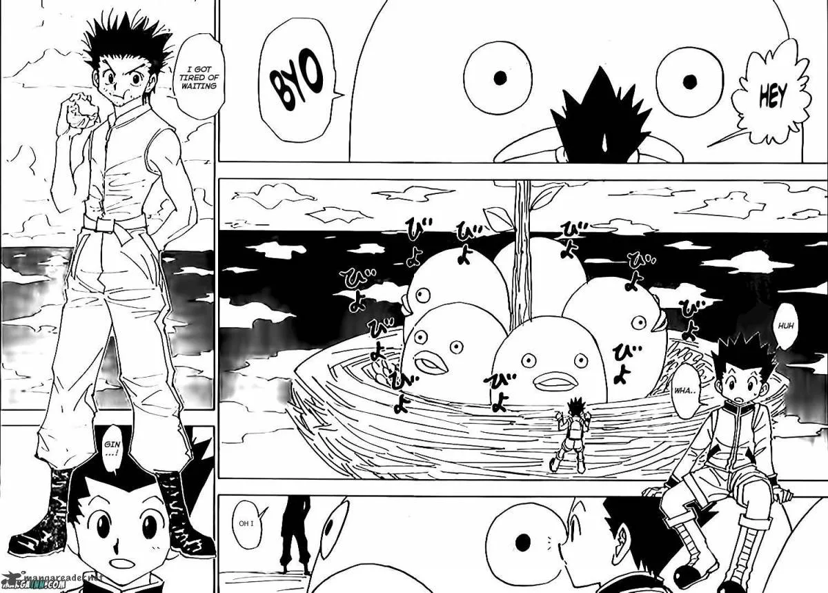Hunter X Hunter Chapter 338 page 10